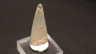 Minerals 304 Quartz Amphibole 山梨県甲府市黒平町水晶峠バッタリ鉱山 2024 浅草石フリマ 5月11日 [upl. by Ahsyat]