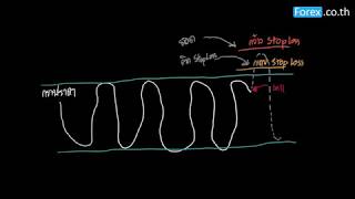 Stop Loss คืออะไร ทำไมถึงขาดไม่ได้ [upl. by Susette]