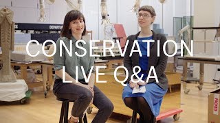 LIVE QampA with MoMA Painting amp Sculpture Conservators Ellen amp Diana March 14 [upl. by Arbas]