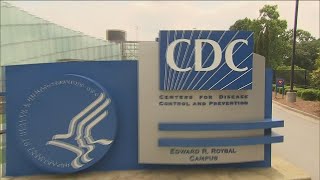 CDC warns doctors to watch for Marburg virus  What to know [upl. by Whiting]