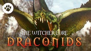 What are Draconids The Witcher 3 Lore  Draconids [upl. by Backer]