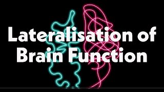 Lateralisation of Brain Function [upl. by Janek]