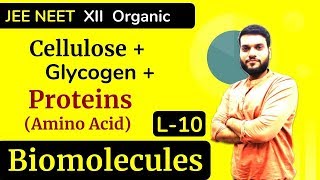 L10 Cellulose  Glycogen  Proteins Intro of Amino Acids  Biomolecules  JEE NEET [upl. by Nelia596]