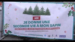 Lancement de l’opération de collecte de sapins en enclos 2024 [upl. by Vtarj]