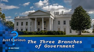 How do the three branches of government work together  USA TODAY [upl. by Wyck]