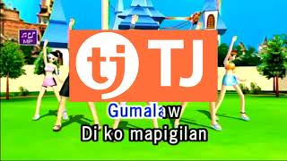 Totoy Bibo With Vocals By Vhong Navarro Karaoke TJ Media Maestro TKR335PII [upl. by Nilyahs]