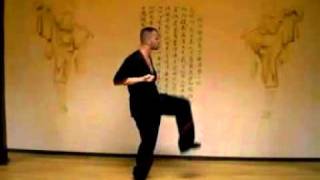 WingTsun  Chum Kiu Form 2 [upl. by Floria]