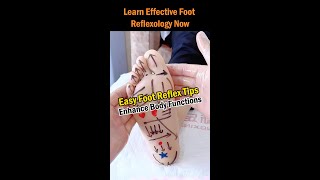 Learn Effective Foot Reflexology Now [upl. by Eveam]