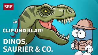 Was du über Dinosaurier wissen musst 🦖  SRF Kids – Clip und klar  Für Kinder erklärt [upl. by Anilys]