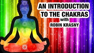 Beginners Guide to Chakras  Everything You Need to Know About Chakras [upl. by Luhem]