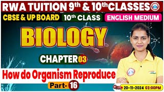 Class 10th Biology Chapter 3  How do organism reproduce Part 16  10th by Gaurangi Mam [upl. by Naitsirt]