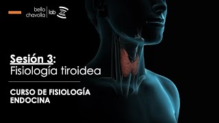 Fisiología de la glándula Tiroides [upl. by Lavern6]