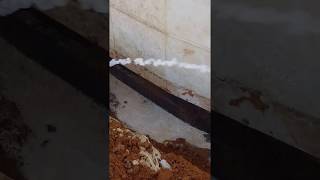 termite control  filling the trenches [upl. by Mccourt240]