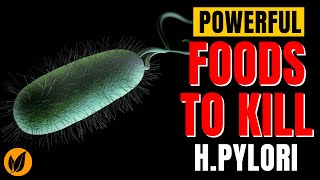 Powerful Foods that Combat H Pylori Helicobacter pylori [upl. by Brest]