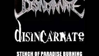 DISINCARNATE  STENCH OF PARADISE BURNING  DEMO [upl. by Anelrats]