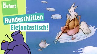 Der kleine Eisbär und das Hundeschlittenrennen amp Rätselfilm Brille Der Elefant  WDR [upl. by Rezal]