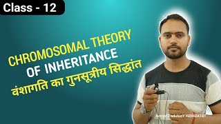 chromosomal theory of inheritance chromosomal theory of inheritance class 12  chromosome structure [upl. by Ylram356]