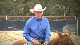 Bruce Mcnaughton Campdrafting  DVD preview [upl. by Moya229]