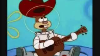 Sandy Cheeks  I Wanna Go Home Walmart Yodeling Boy Remix [upl. by Bouton111]