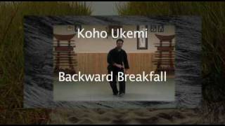 Ninjutsu Training  UKEMI DEMONSTRATION 9TH KYU  Bujinkan Lesson Online [upl. by Aneehc]