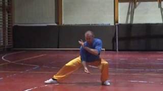 Chen Tai Chi 48 form si shi ba shi Part 1 [upl. by Kelwen]