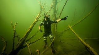 Treasure Hunting a Creepy Underwater Forest Found GoldMine  Jiggin With Jordan [upl. by Kakalina]