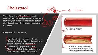 AQA A Level PE 2018  Cardiovascular System Lesson [upl. by Shanly]