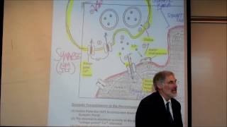 PHYSIOLOGY THE NEUROMUSCULAR JUNCTION by Professor Fink [upl. by Boggs656]