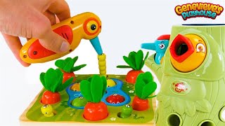 Best Toy Learning Video for Toddlers and Kids  Learn Colors and Counting in the Garden [upl. by Lalat493]