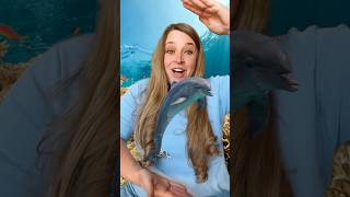 Ocean Animals 🐬 Opposites Song kidssongs kidslearning [upl. by Estey]