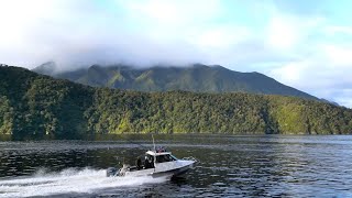 New Zealand Doubtful Sound Chapter 4 [upl. by Noeruat]