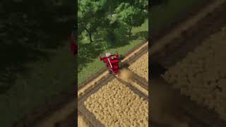 Wheat harvest  Farming Simulator 25 [upl. by Hanima219]