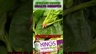 Health benefits of spinach  KINGS Herbal Plus Ingredients [upl. by Kit]