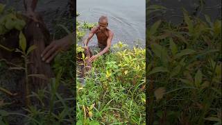 Old man enjoy net fishing fishing netfishing villagefishing viralvideo shorts [upl. by Oiratnom]