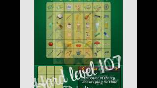 Real Einsteins Riddle hard levels 106110 [upl. by Meehar]