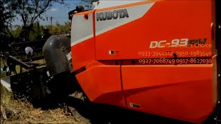 🇵🇭 DC93 Kubota Combine Harvester LATEST Model  Demonstration on 🌾Rice Field  93 Horsepower Turbo [upl. by Teodora423]