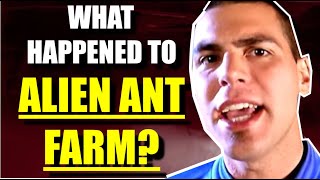 ALIEN ANT FARM The Strange History of the Band Behind Smooth Criminal Cover [upl. by Miett]