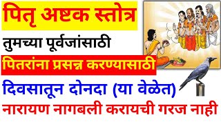 पितरांसाठी सर्वात साधी व सोपी 2 मिनिटांची सेवा पुढचे तीन पिढ्या तुमच्या घराला पितृदोष लागणार नाही [upl. by Sherar845]