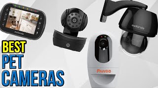 7 Best Pet Cameras 2017 [upl. by Riana]