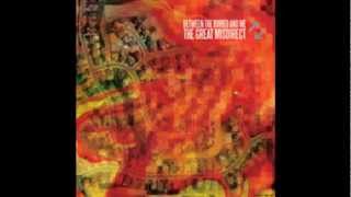 Between the Buried and Me  Fossil Genera A Feed from Cloud Mountain FULL SONG [upl. by Adalai430]