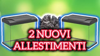 2 NUOVI ALLESTIMENTI [upl. by Jarrett]