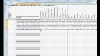 Deel 1TranscriptieNaarExcelavi [upl. by Nancee]