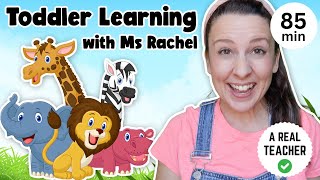 Toddler Learning with Ms Rachel  Learn Zoo Animals  Kids Songs  Educational Videos for Toddlers [upl. by Steiner]