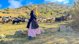 IRAN nomadic lifestyle  daily routine village life of Iran  Alborz mountain [upl. by Juback]