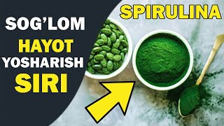 Immunitetni mustahkamlash sirlari  SPIRULINA Иммунитетни кўтарувчи маҳсулот СПИРУЛИНА [upl. by Alby744]