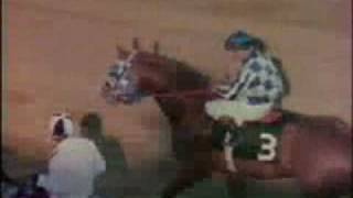 SECRETARIAT  1973 Preakness Stakes Recap [upl. by Aitropal447]