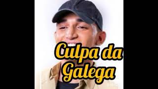 culpa da galega João Gomes [upl. by Daraj]