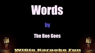 Karaoke Words  Bee Gees [upl. by Ellehcsor]