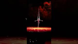 Cirque du Soleil OVO Rupp Arena 3 shortvideo shortsvideo shorts short [upl. by Nyrak]