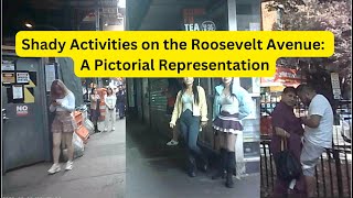 Shady Activities on the Roosevelt Avenue A Pictorial Representation [upl. by Cassy]